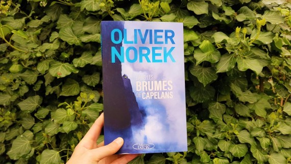 Dans les brumes de Capelans – Olivier Norek