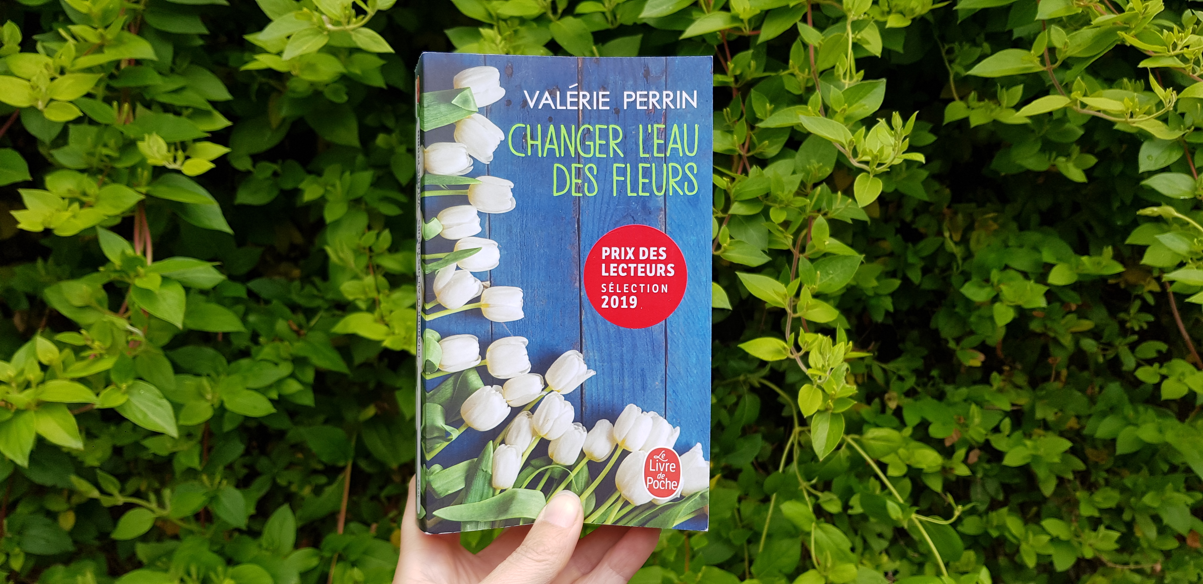 CHANGER L'EAU DES FLEURS / VALÉRIE PERRIN