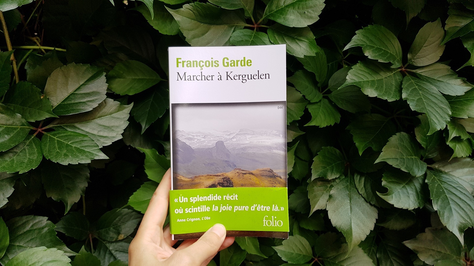 Marcher à Kerguelen – François Garde