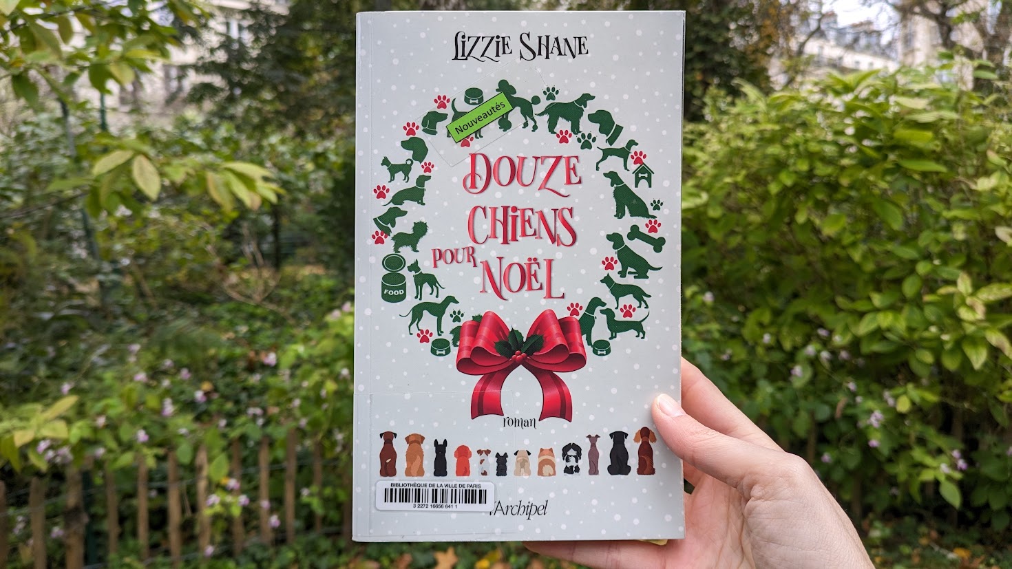 Douze chiens pour Noël – Lizzie Shane